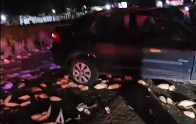 VÍDEO: Colisão em carro com carretinha deixa dois feridos na BR-060