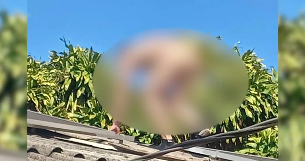 Pelado homem sobe em telhado pra fugir de ex-namorado de ‘amiga’