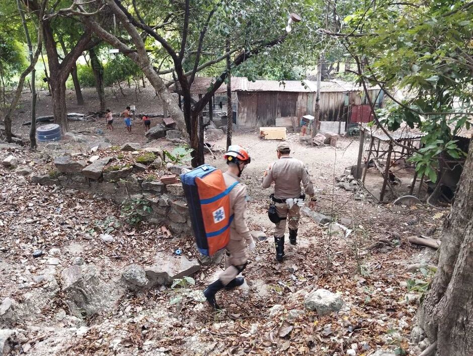 Homem é atacado por onça ao tentar defender cachorro