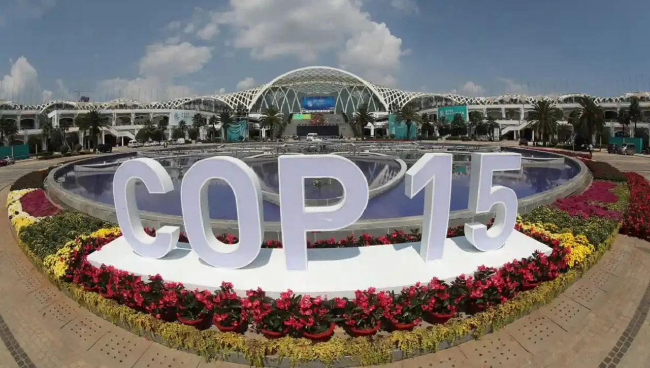 COP15: guia completo com locais e programação em Campo Grande