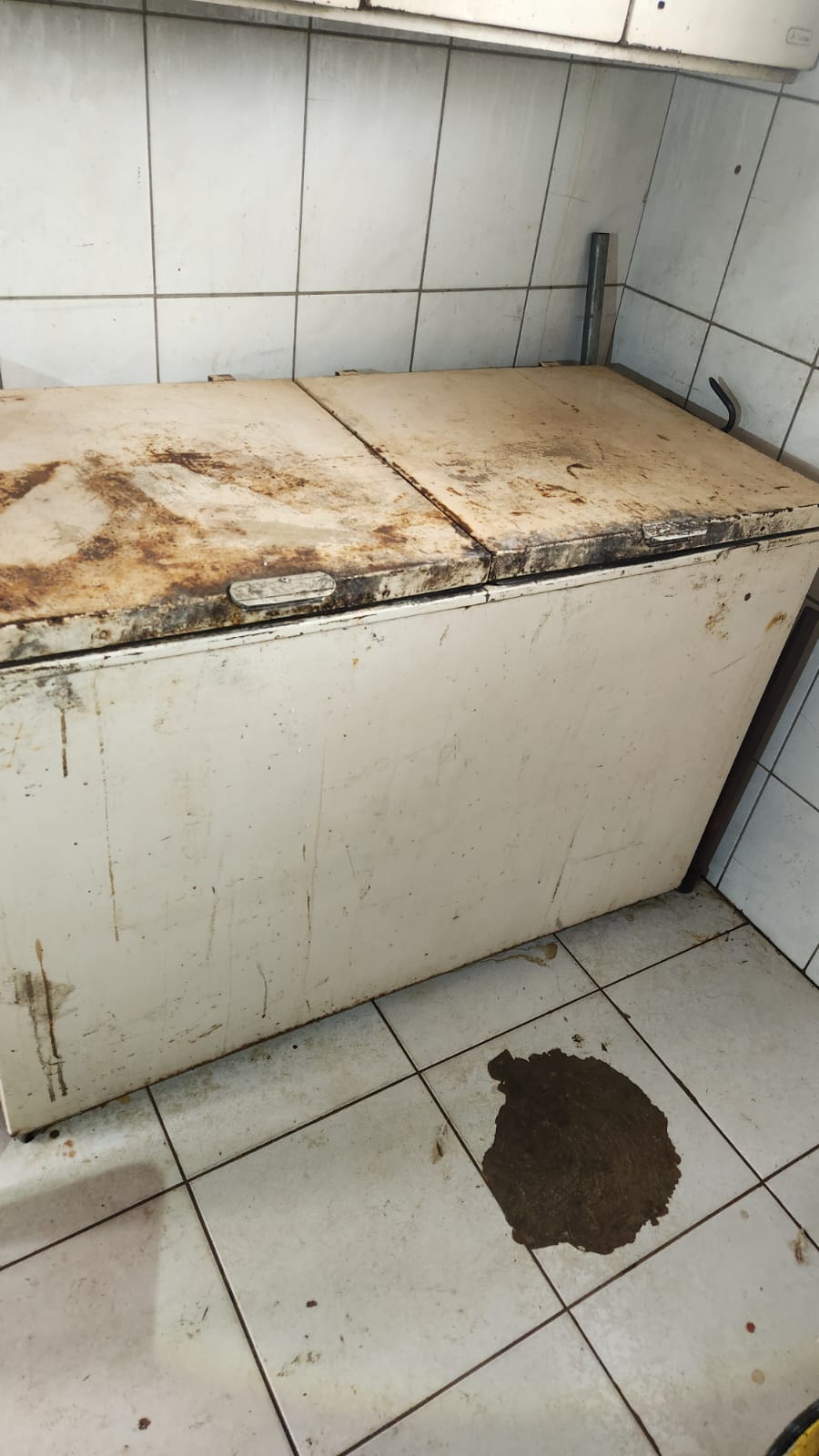 FORÇA-TAREFA APREENDE MAIS DE 600 KG DE CARNES CLANDESTINAS E 154 LITROS DE PRODUTOS IMPRÓPRIOS PARA CONSUMO EM PARANAÍBA